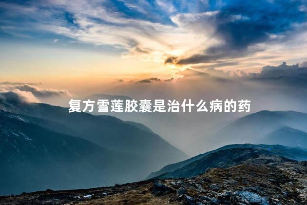 复方雪莲胶囊是治什么病的药