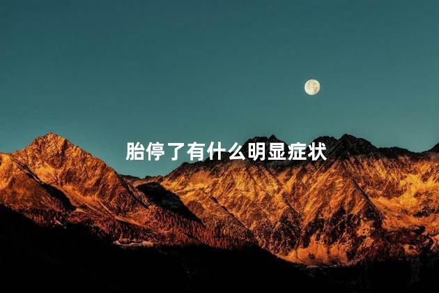 胎停了有什么明显症状 胎停了有什么明显症状