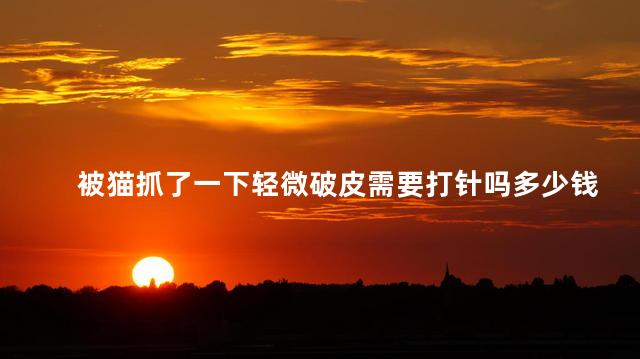 被猫抓了一下轻微破皮需要打针吗多少钱