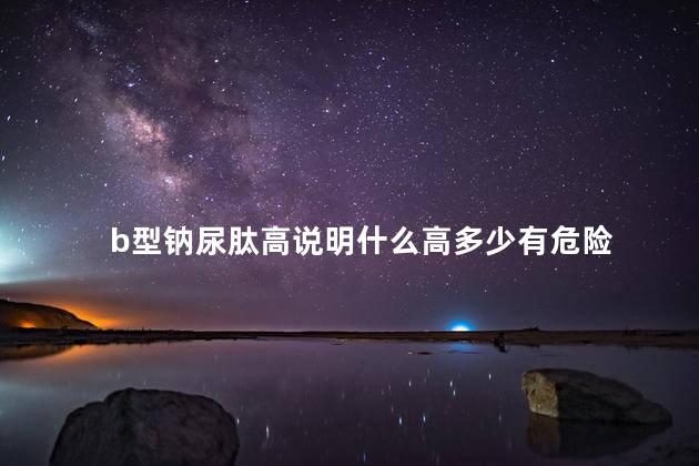 b型钠尿肽高说明什么高多少有危险