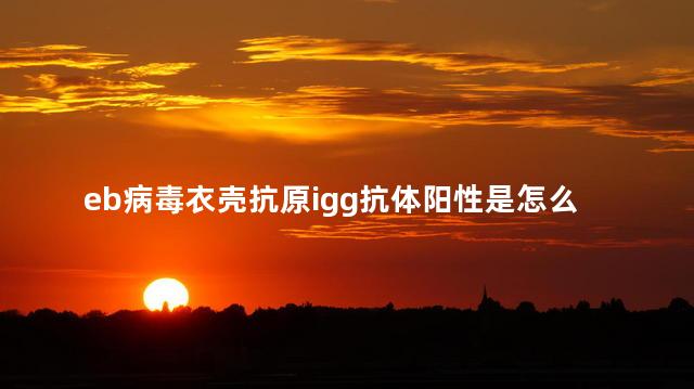 eb病毒衣壳抗原igg抗体阳性是怎么回事