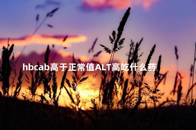 hbcab高于正常值ALT高吃什么药