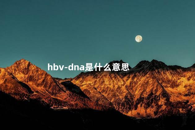 hbv-dna是什么意思
