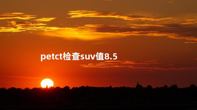 petct检查suv值8.5