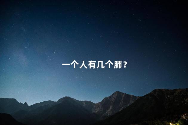 一个人有几个肺？