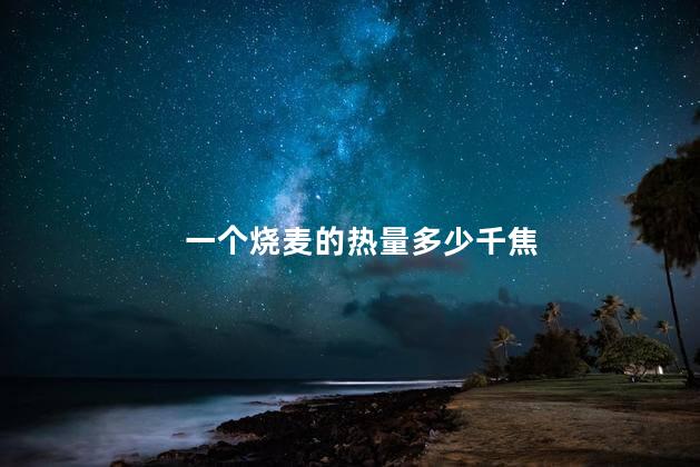 一个烧麦的热量多少千焦