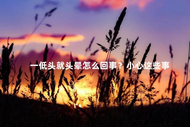 一低头就头晕怎么回事？小心这些事