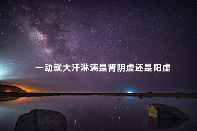 一动就大汗淋漓是肾阴虚还是阳虚