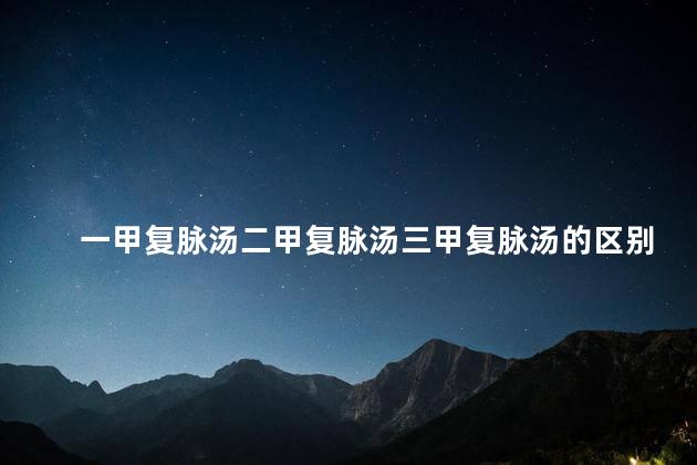 一甲复脉汤二甲复脉汤三甲复脉汤的区别