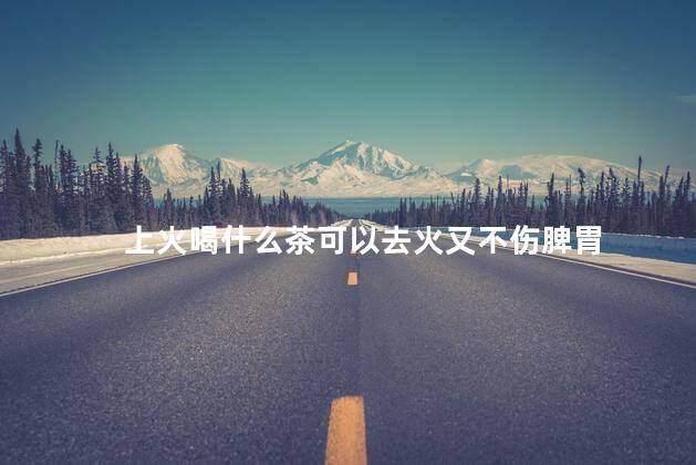 上火喝什么茶可以去火又不伤脾胃