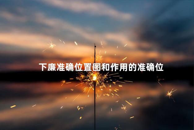 下廉准确位置图和作用的准确位