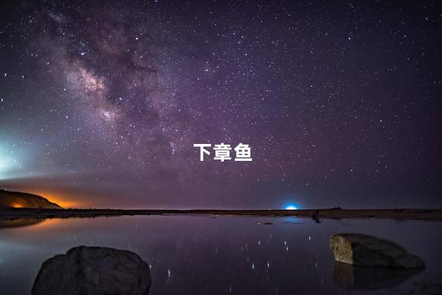 下章鱼