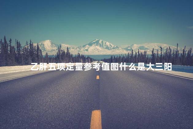 乙肝五项定量参考值图什么是大三阳