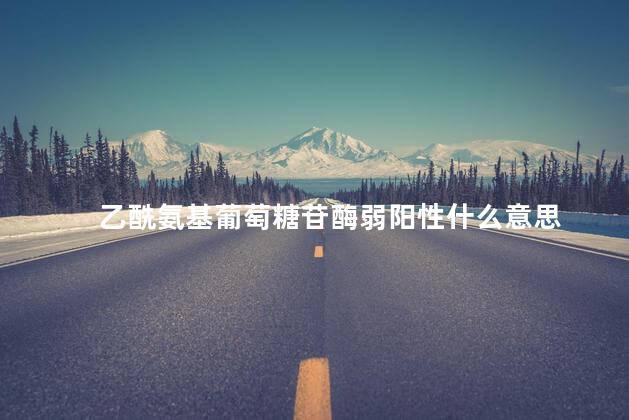 乙酰氨基葡萄糖苷酶弱阳性什么意思