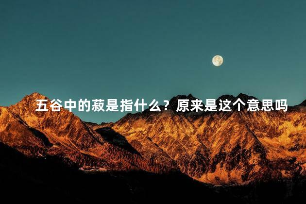 五谷中的菽是指什么？原来是这个意思吗