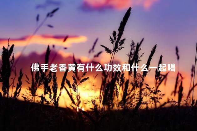 佛手老香黄有什么功效和什么一起喝