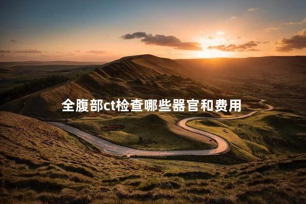 全腹部ct检查哪些器官和费用
