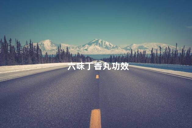 六味丁香丸功效