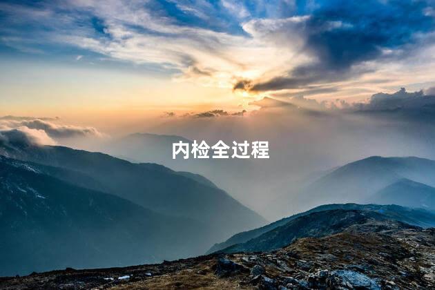 内检全过程