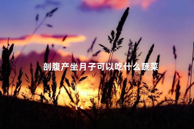 剖腹产坐月子可以吃什么蔬菜