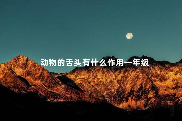 动物的舌头有什么作用一年级