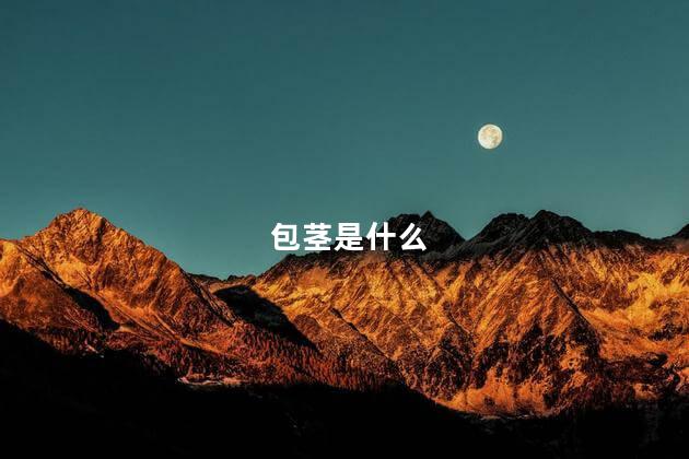 包茎是什么