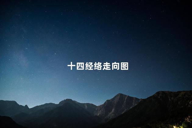 十四经络走向图