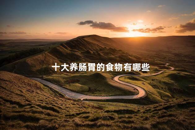 十大养肠胃的食物有哪些