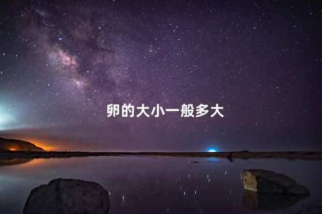 卵的大小一般多大