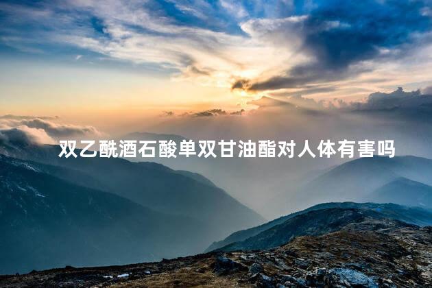 双乙酰酒石酸单双甘油酯对人体有害吗