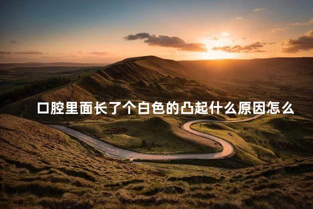 口腔里面长了个白色的凸起什么原因怎么办图片