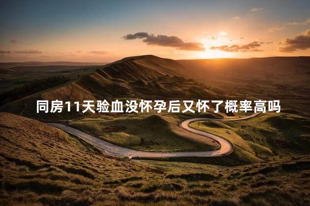 同房11天验血没怀孕后又怀了概率高吗