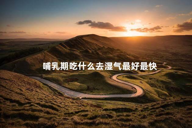 哺乳期吃什么去湿气最好最快