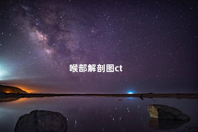 喉部解剖图ct