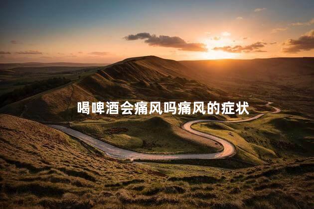 喝啤酒会痛风吗痛风的症状