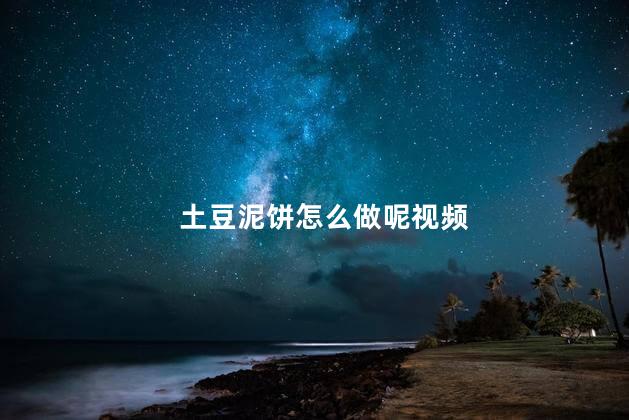 土豆泥饼怎么做呢视频
