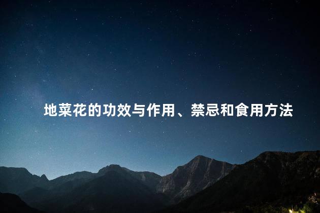 地菜花的功效与作用、禁忌和食用方法