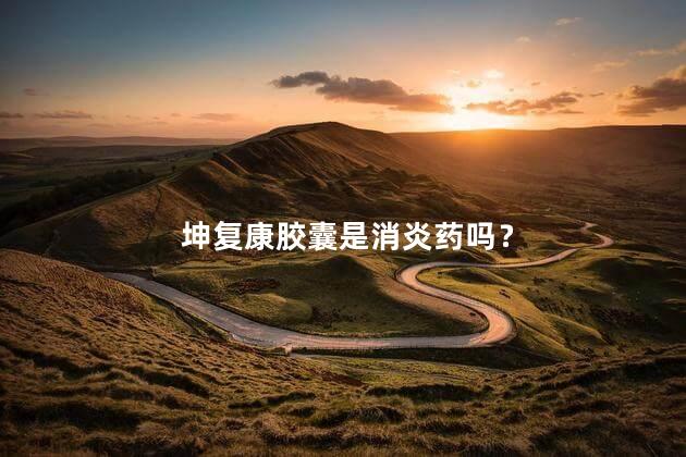 坤复康胶囊是消炎药吗？