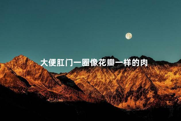 大便肛门一圈像花瓣一样的肉