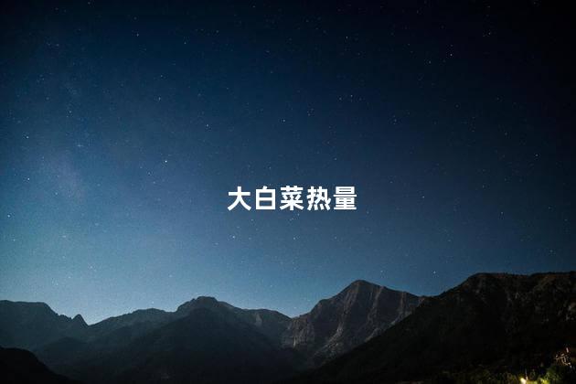 大白菜热量