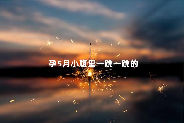 孕5月小腹里一跳一跳的