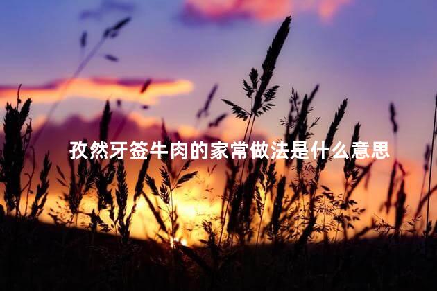 孜然牙签牛肉的家常做法是什么意思