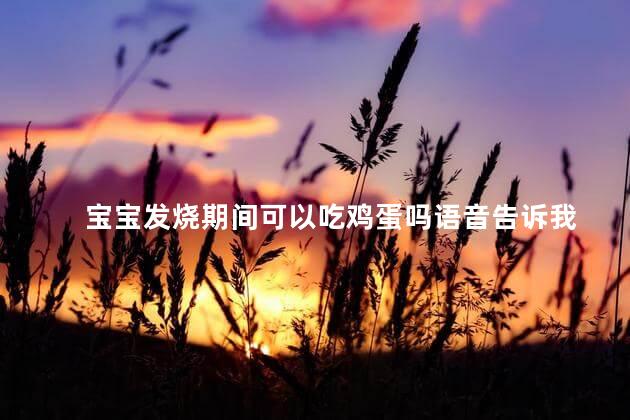 宝宝发烧期间可以吃鸡蛋吗语音告诉我