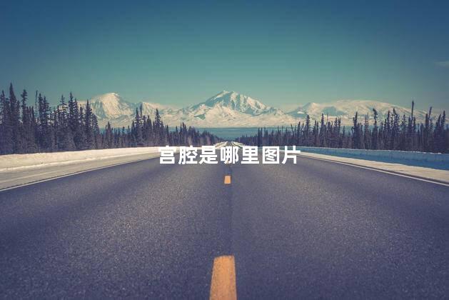 宫腔是哪里图片