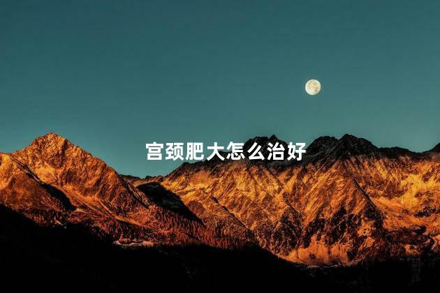 宫颈肥大怎么治好