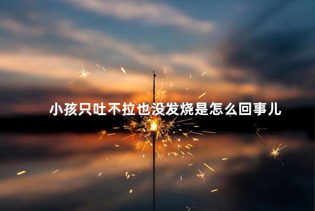 小孩只吐不拉也没发烧是怎么回事儿