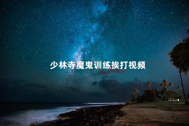 少林寺魔鬼训练挨打视频