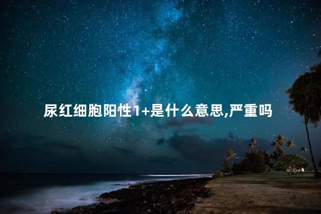 尿红细胞阳性1+是什么意思,严重吗