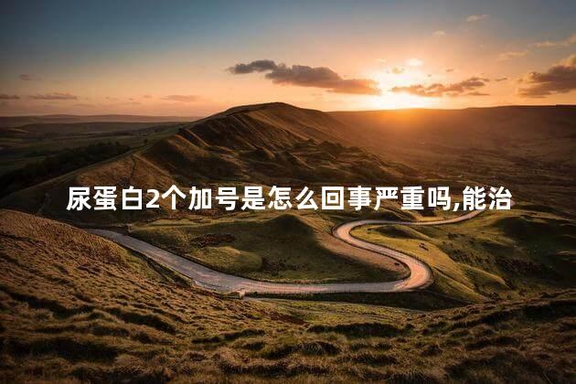尿蛋白2个加号是怎么回事严重吗,能治愈吗谢谢医生