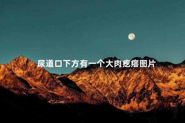 尿道口下方有一个大肉疙瘩图片